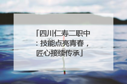 四川仁寿二职中：技能点亮青春，匠心接续传承