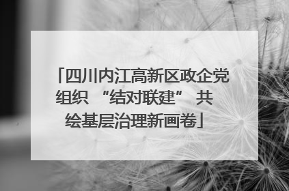 四川内江高新区政企党组织 “结对联建” 共绘基层治理新画卷