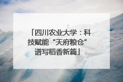 四川农业大学：科技赋能“天府粮仓”谱写稻香新篇