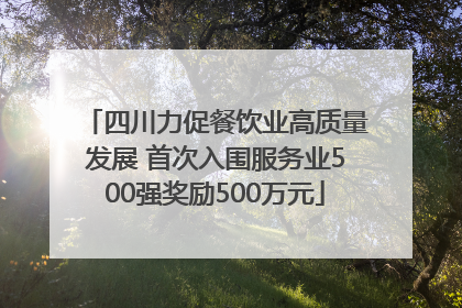 四川力促餐饮业高质量发展 首次入围服务业500强奖励500万元