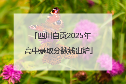 四川自贡2025年高中录取分数线出炉