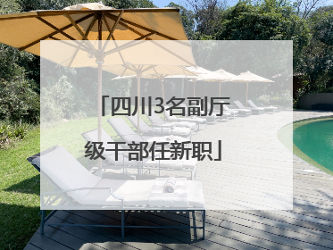 四川3名副厅级干部任新职