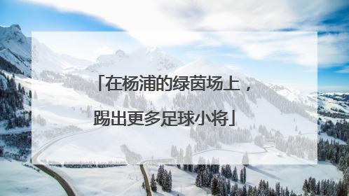 在杨浦的绿茵场上，踢出更多足球小将
