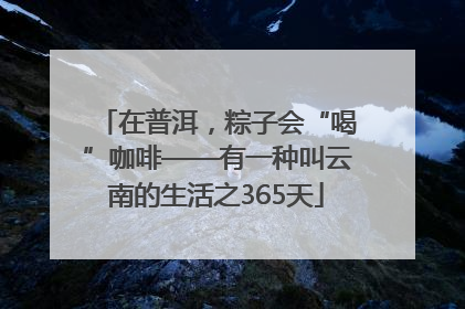 在普洱，粽子会“喝”咖啡——有一种叫云南的生活之365天
