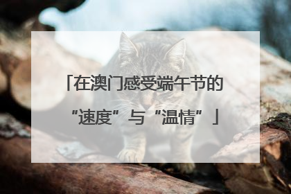 在澳门感受端午节的“速度”与“温情”