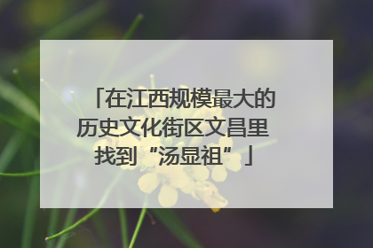 在江西规模最大的历史文化街区文昌里找到“汤显祖”