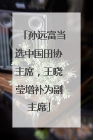 孙远富当选中国田协主席，王晓莹增补为副主席