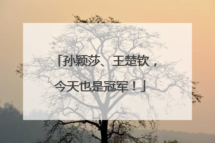 孙颖莎、王楚钦，今天也是冠军！