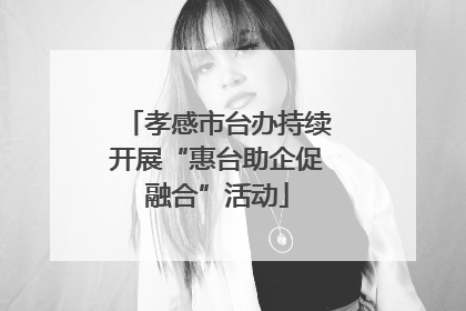 孝感市台办持续开展“惠台助企促融合”活动