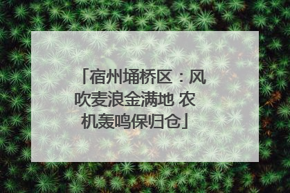 宿州埇桥区：风吹麦浪金满地 农机轰鸣保归仓
