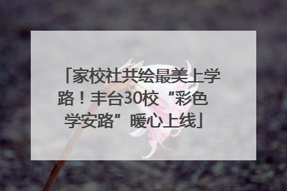 家校社共绘最美上学路！丰台30校“彩色学安路”暖心上线