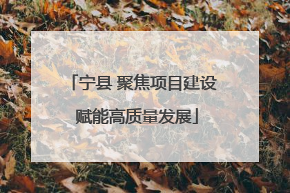 宁县 聚焦项目建设 赋能高质量发展
