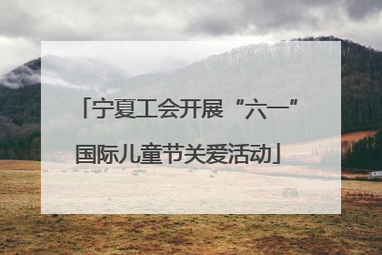 宁夏工会开展“六一”国际儿童节关爱活动