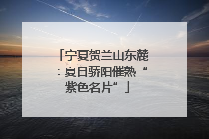 宁夏贺兰山东麓：夏日骄阳催熟“紫色名片”
