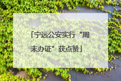 宁远公安实行“周末办证”获点赞