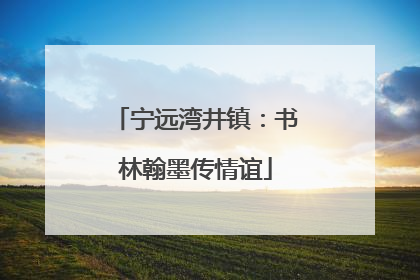 宁远湾井镇：书林翰墨传情谊