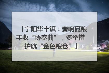 宁阳华丰镇：奏响夏粮丰收“协奏曲”，多举措护航“金色粮仓”