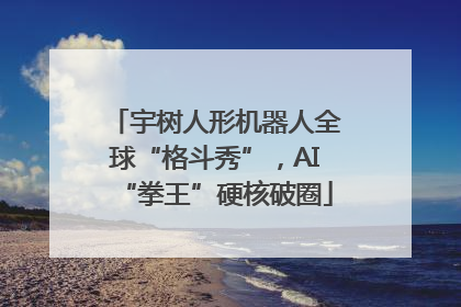 宇树人形机器人全球“格斗秀”，AI“拳王”硬核破圈