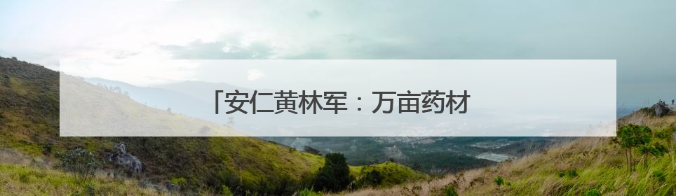 安仁黄林军：万亩药材基地铺就乡村振兴路