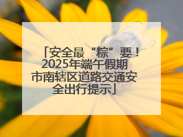 安全最“粽”要！2025年端午假期市南辖区道路交通安全出行提示