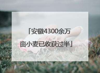 安徽4300余万亩小麦已收获过半