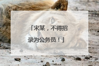 宋某，不得招录为公务员！