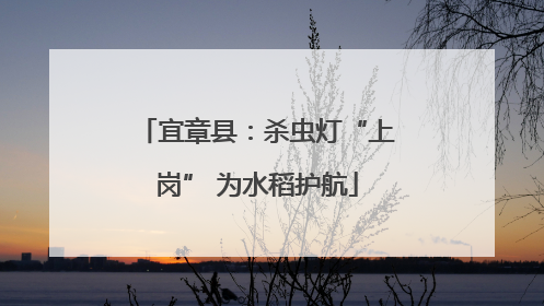 宜章县：杀虫灯“上岗” 为水稻护航