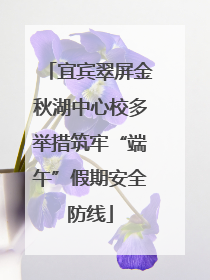 宜宾翠屏金秋湖中心校多举措筑牢“端午”假期安全防线