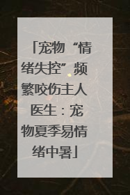宠物“情绪失控”频繁咬伤主人 医生：宠物夏季易情绪中暑