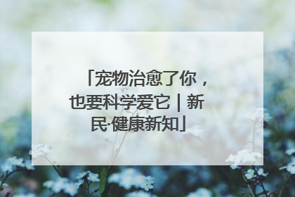 宠物治愈了你，也要科学爱它｜新民·健康新知