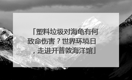 塑料垃圾对海龟有何致命伤害？世界环境日，走进开普敦海洋馆