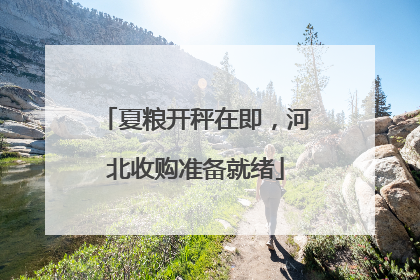 夏粮开秤在即，河北收购准备就绪