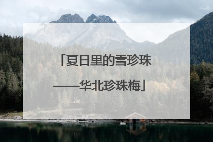 夏日里的雪珍珠——华北珍珠梅