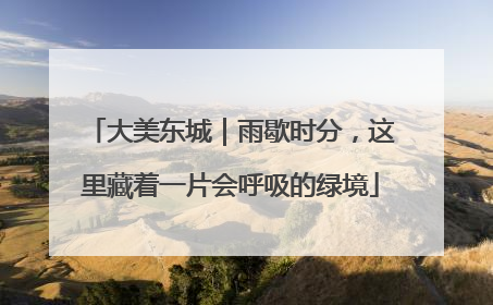 大美东城｜雨歇时分，这里藏着一片会呼吸的绿境
