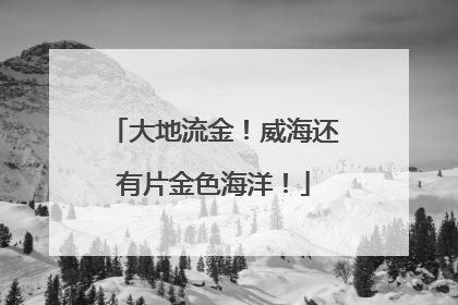 大地流金！威海还有片金色海洋！