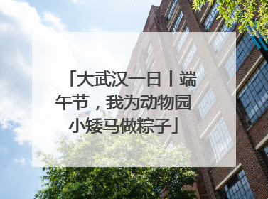 大武汉一日丨端午节，我为动物园小矮马做粽子