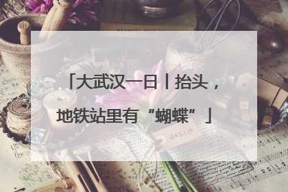 大武汉一日丨抬头，地铁站里有“蝴蝶”