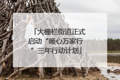 大栅栏街道正式启动“暖心万家行”三年行动计划