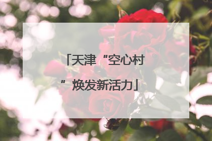 天津“空心村”焕发新活力