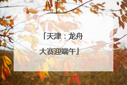 天津：龙舟大赛迎端午