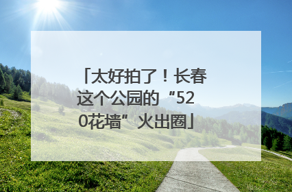 太好拍了！长春这个公园的“520花墙”火出圈