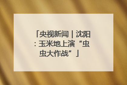 央视新闻｜沈阳：玉米地上演“虫虫大作战”