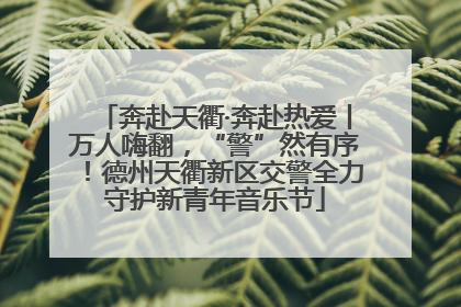 奔赴天衢·奔赴热爱丨万人嗨翻，“警”然有序！德州天衢新区交警全力守护新青年音乐节