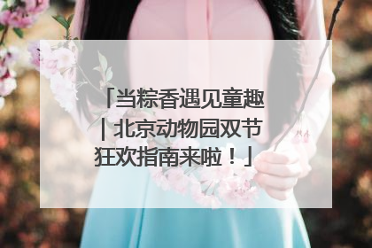 当粽香遇见童趣｜北京动物园双节狂欢指南来啦！