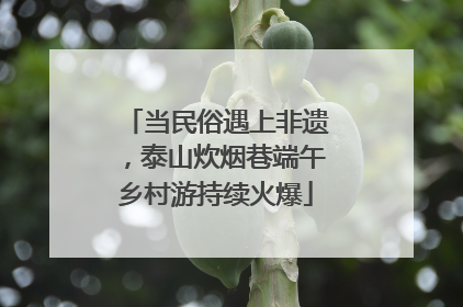 当民俗遇上非遗，泰山炊烟巷端午乡村游持续火爆