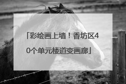 彩绘画上墙！香坊区40个单元楼道变画廊