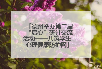 德州举办第二届“启心”研讨交流活动——共筑学生心理健康防护网