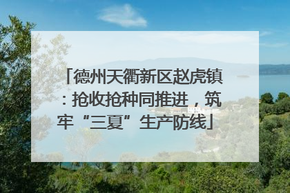 德州天衢新区赵虎镇：抢收抢种同推进，筑牢“三夏”生产防线