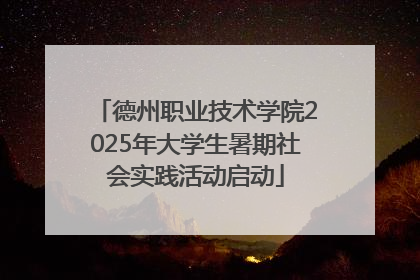 德州职业技术学院2025年大学生暑期社会实践活动启动
