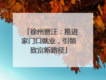 徐州贾汪：推进家门口就业，引领致富新路径